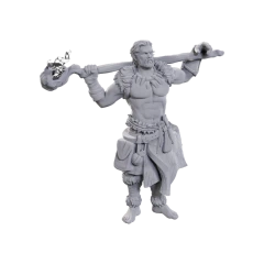 D&D Mini: Archdruid & Martial Arts Adept